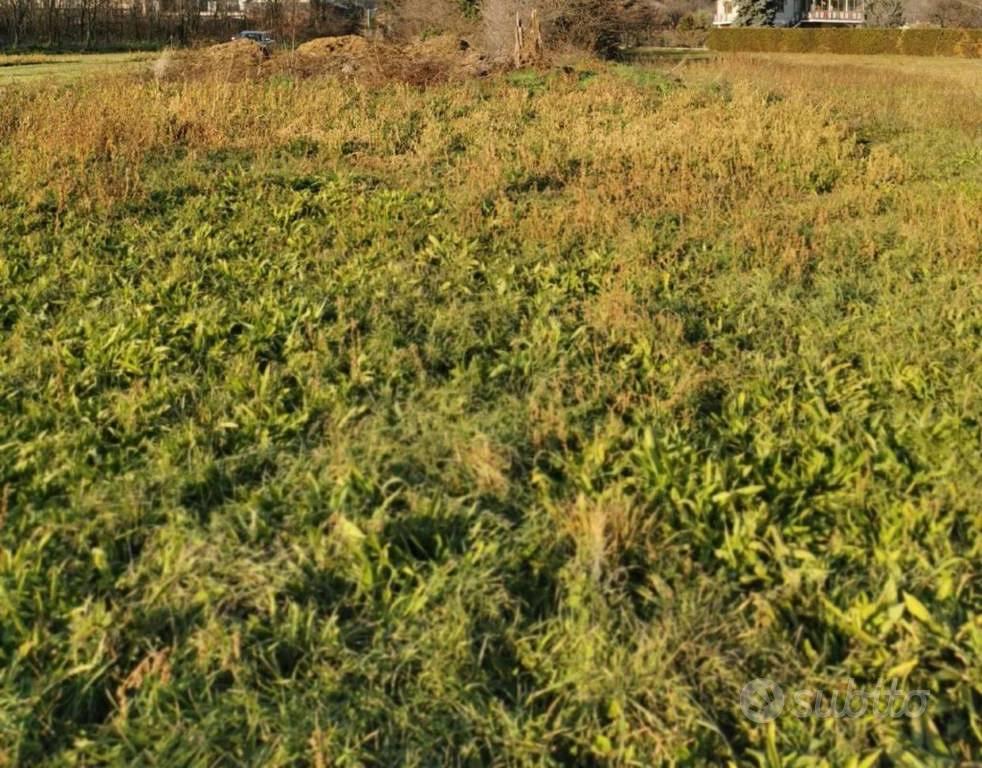 Immobile in asta di 1773 m² a Caprie - Vista 4