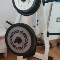 Dischi , Bilancieri e Jammer Arms Technogym 