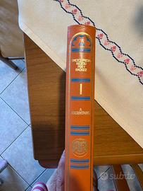 Enciclopeida Rizzoli per i ragazzi 1974