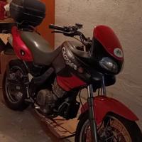 Cagiva Canyon 500 - 2002