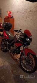 Cagiva Canyon 500 - 2002