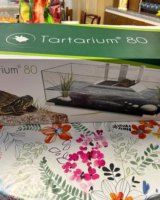 tartarughiera tartarium 80 ciano NUOVO