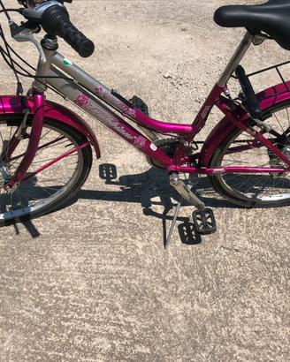 Bicicletta