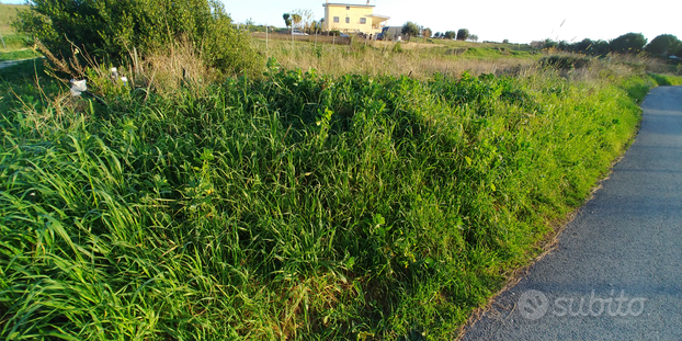 Terreno a civitavecchia strada delle molacce