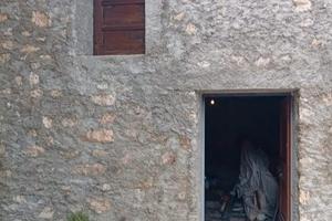 rudere