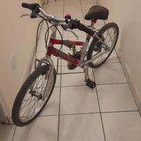 Bicicletta bambino/a