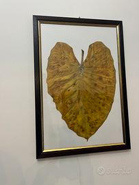 Quadro con foglia