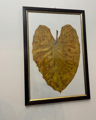 Quadro con foglia