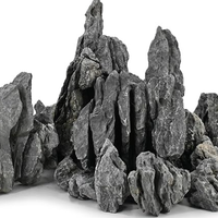 rocce per acquario seiryu stone