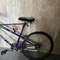 bici da collezione Bianchi Ragno