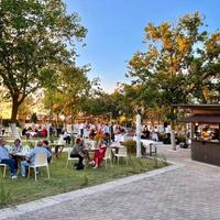 Attività di ristorante-pizzeria