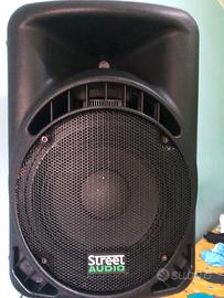 coppia casse street audio 210A