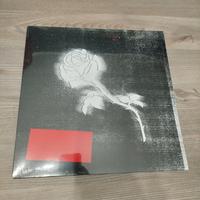 Vinile Liberato 