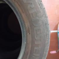 gomme estive 