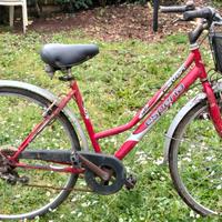 bicicletta donna