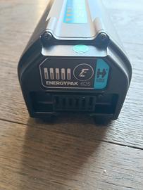 BATTERIA GIANT 625WH USATA 