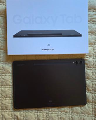 Samsung Galaxy Tab S9 + wifi 256 GB