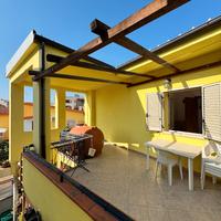 Quadrivano a Girasole