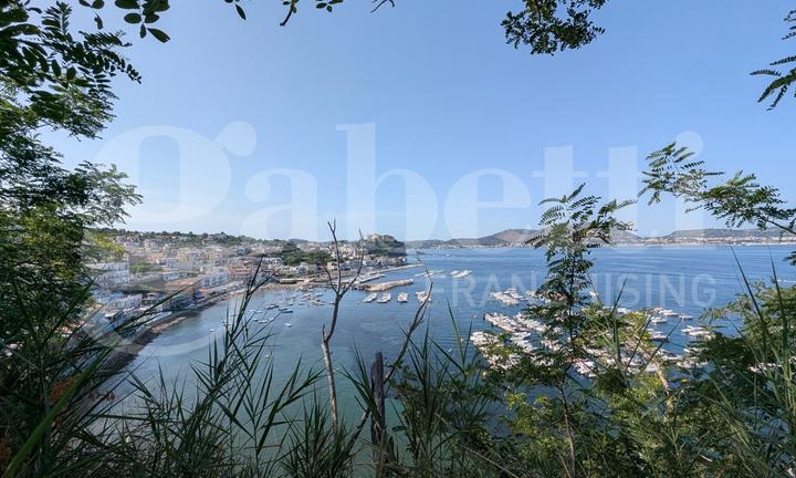 Terreno Agricolo Bacoli [Cod. rif 3253215VRG]