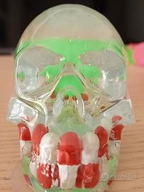 teschio in resina epossidica