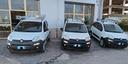 fiat-new-panda-1-3-mjet-75cv-4x4-allestita-2014