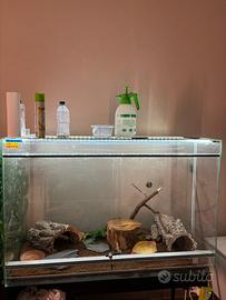 Terrario grande 120x60x80h