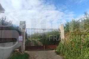 Terreno Agricolo Avola [cod. rif6001303VCG]