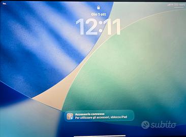 IPAD 11 pro   512Gb wifi +cellular