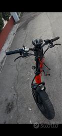 Bici engwe pro
