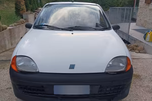 Fiat 600 young
