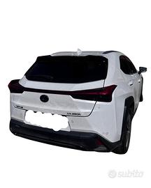 M20A RICAMBI USATI AUTO LEXUS UX Serie (19>) Hybri