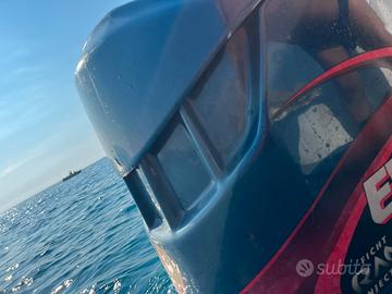 Evinrude ficht ram 150