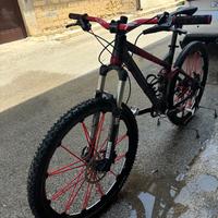 Bici mtb