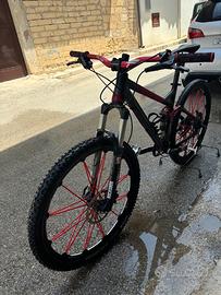 Bici mtb