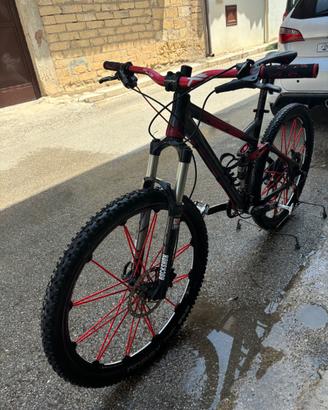 Bici mtb