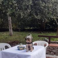 Pasqua tra mare e collina tra itri e sperlonga