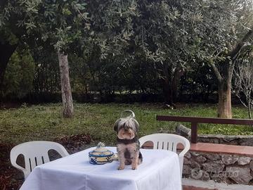 Pasqua tra mare e collina tra itri e sperlonga