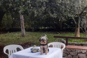 Pasqua tra mare e collina tra itri e sperlonga