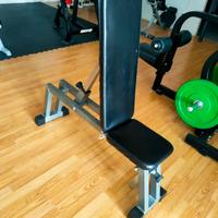 Panca Regolabile Technogym Silver