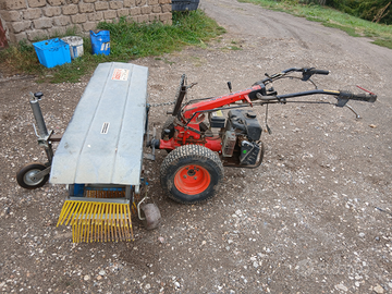Scopetta bosco barbieri