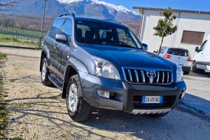 Toyota  Land Cruiser