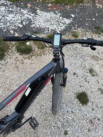 mountain bike a pedalata assistita