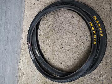 Maxxis Beaver e Pace