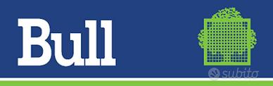 BULL * nei computers teneva testa a IBM