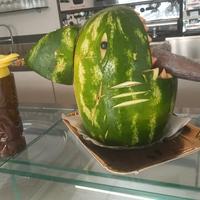 Barista barman esperto