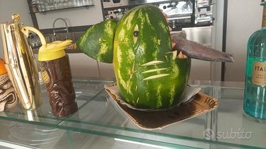 Barista barman esperto