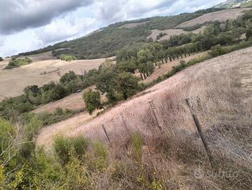 Terreno vendita