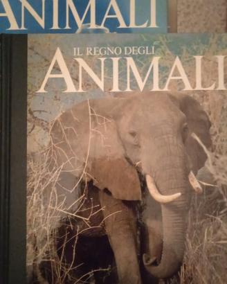 IL REGNO DEGLI ANIMALI  + ALTRI