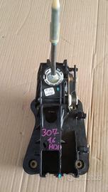 LEVA CAMBIO PEUGEOT 307 Berlina 2° Serie 9hz Dies