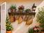 Immagine 11